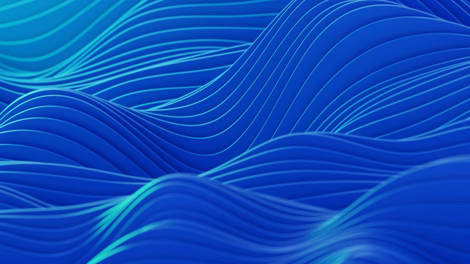 About flashusdtapps.com team building flash tether software since 2016